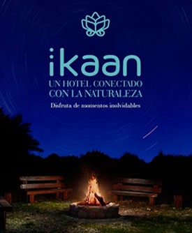 Campaña de Marketing Digital, redes sociales, Google Ads y posicionamiento web seo para Ikaan